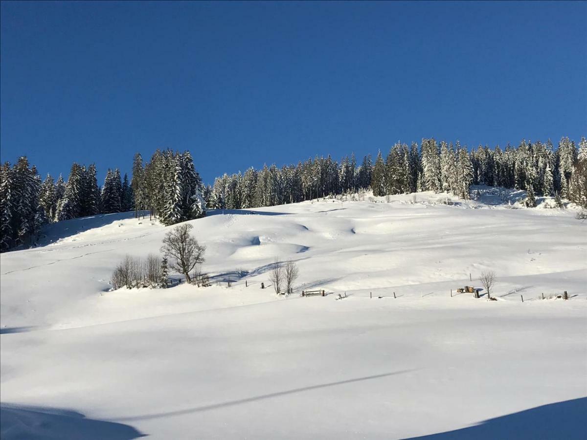 Bergpension Zinting Brixen im Thale Εξωτερικό φωτογραφία